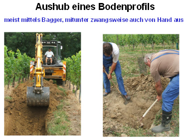 Arbeiten Bodenprofil