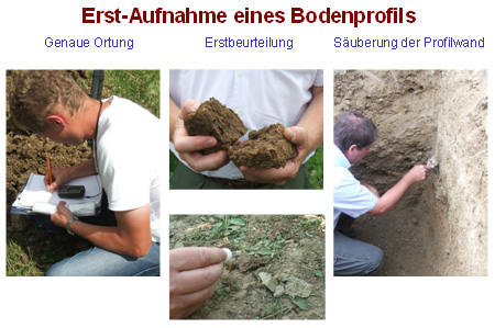 Arbeiten Bodenprofil