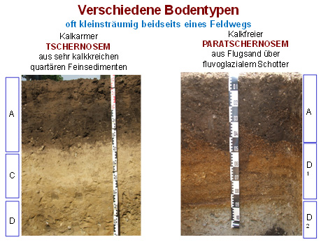 Arbeiten Bodenprofil