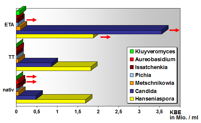 Gärungsrelevante HEFEN