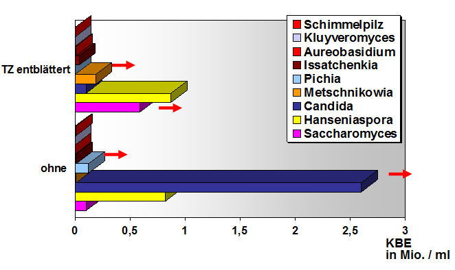 Gärungsrelevante HEFEN