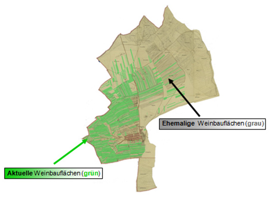 historischer Riedenkataster