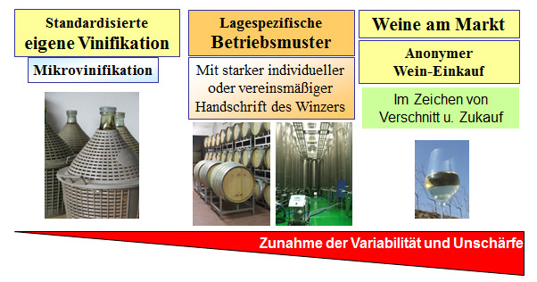 Eigene Untersuchungen